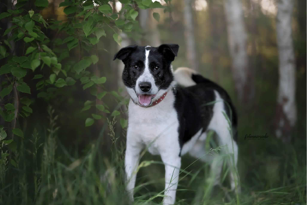 Profile picture of Ariel