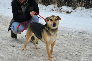 Profile picture of Azar