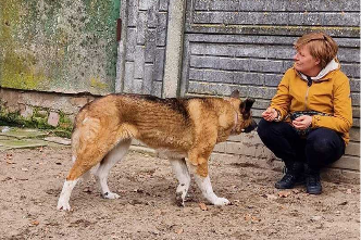 Azja