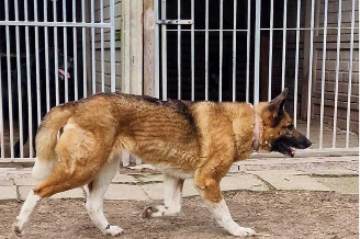 Azja
