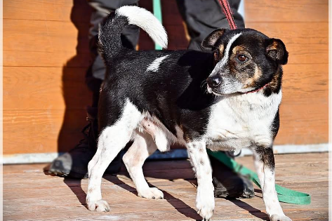 Profile picture of Bari