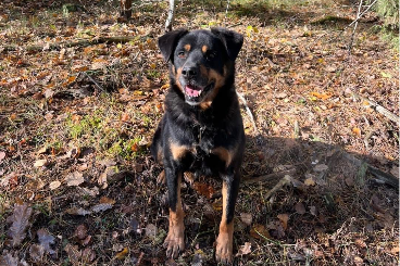 Profile picture of Barnaba