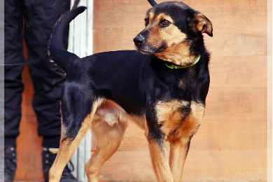 Profile picture of Bastek