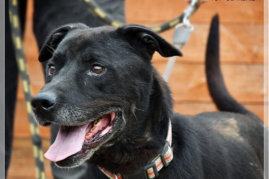 Profile picture of Bax