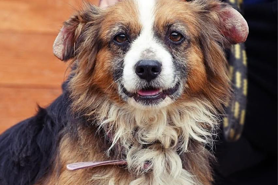 Profile picture of Bazu