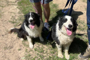 Bella en Borys