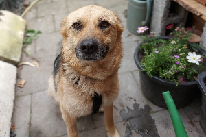 Bella