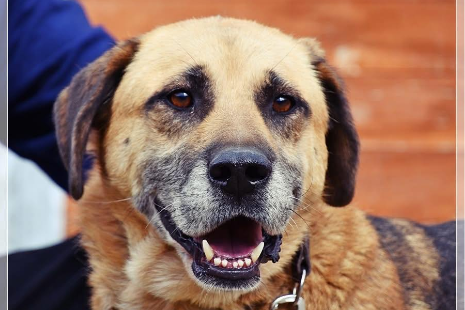 Profile picture of Benek