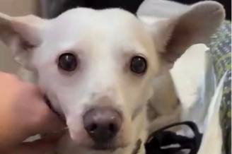 Profile picture of Billy