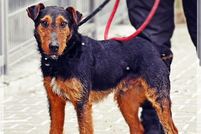 Profile picture of Bimbus