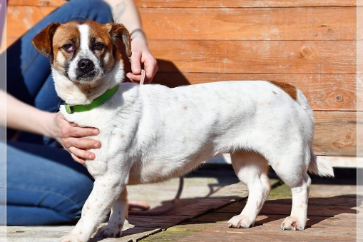 Profile picture of Blusia