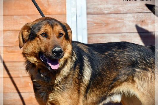 Profile picture of Bols