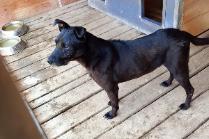 Profile picture of Bono