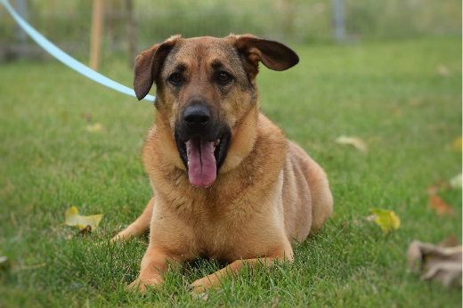 Profile picture of Borixon