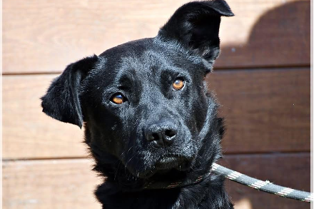 Profile picture of Borys