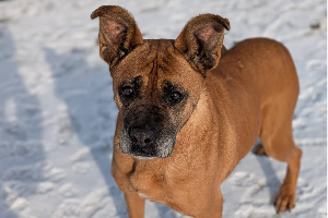 Profile picture of Bursa