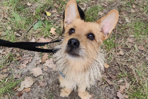 Charlie