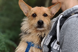 Profile picture of Charlie