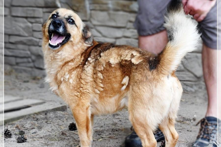 Profile picture of Ciapek