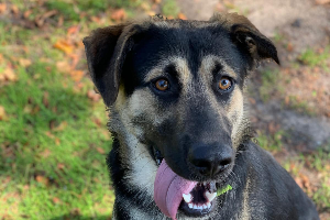 Diego