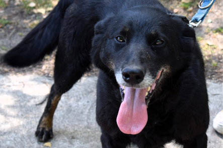 Profile picture of Dora