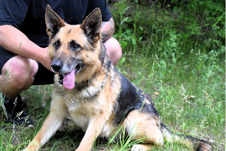 Profile picture of Dragon