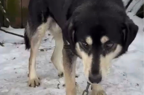 Profile picture of Edi