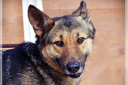 Profile picture of Fama