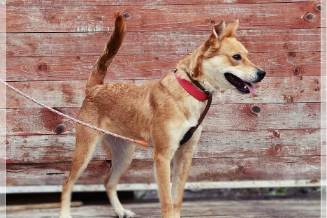 Profile picture of Felicja