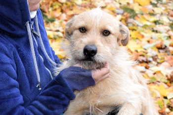 Profile picture of Ferbi