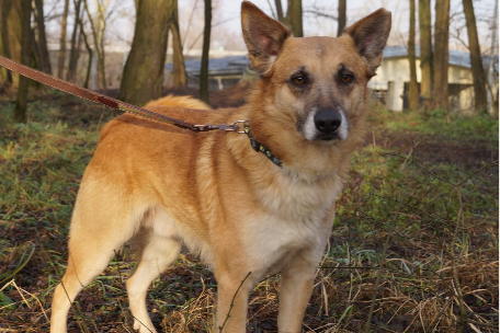 Profile picture of Fitek