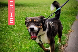 Profile picture of Freddie