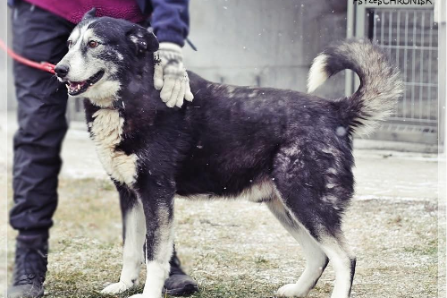 Profile picture of Fredro