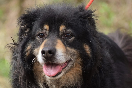 Profile picture of Frodo