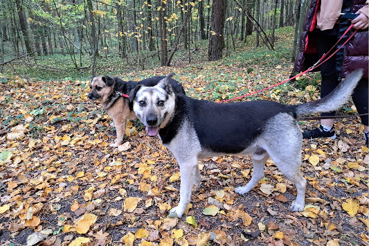 Profile picture of Funia en Sezamek