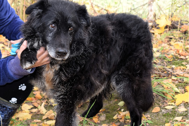 Profile picture of Gandalf