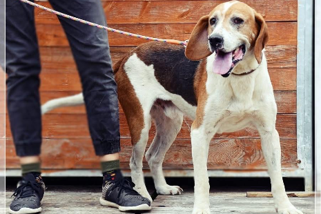 Profile picture of Goran