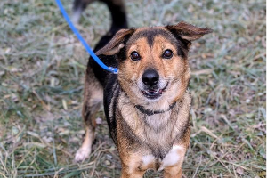 Profile picture of Granda