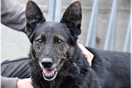 Profile picture of Hades