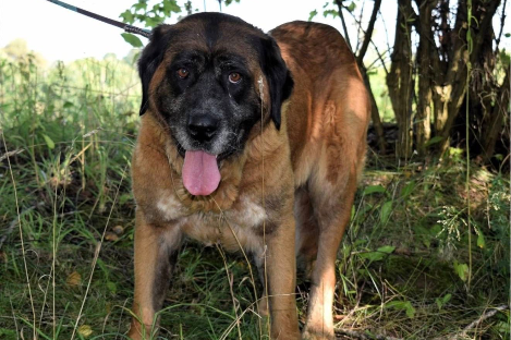 Profile picture of Helga