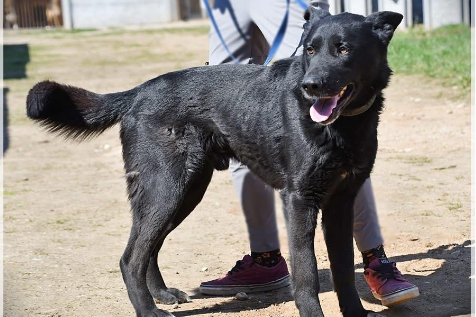 Profile picture of Hermes