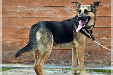 Profile picture of Ikar 3