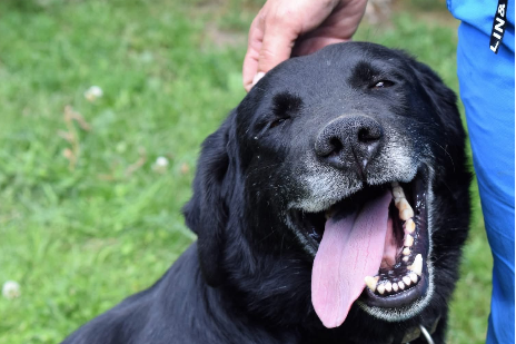 Profile picture of Jasper