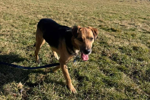 Profile picture of Kajetan