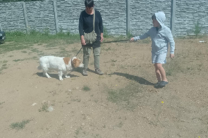 Kajetan