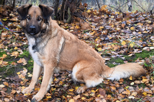 Profile picture of Karla