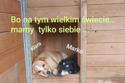 Klara