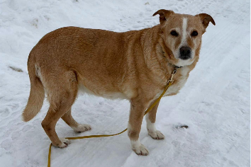 Klara