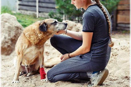 Profile picture of Koma