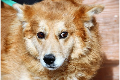 Profile picture of Krypton